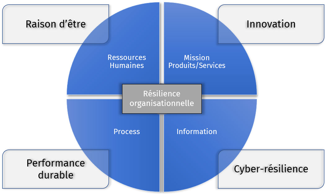 Infographie résilience organisationnelle