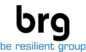 Logo BRG 02